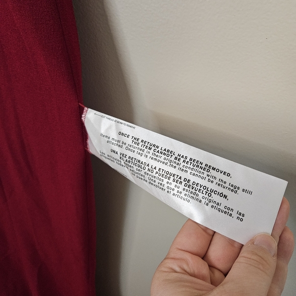 Dress The Population Sandra Elegant Garnet Red Sleeveless Gown Formal V-Neck - Picture 15 of 16